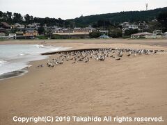 大須賀海岸

鳴き砂の浜が約2kmに渡って続きます。


大須賀海岸：https://ja.wikipedia.org/wiki/%E5%A4%A7%E9%A0%88%E8%B3%80%E6%B5%B7%E5%B2%B8
大須賀海岸：https://hachinohe-kanko.com/kanko_data/osukakaigan
鳴き砂：https://ja.wikipedia.org/wiki/%E9%B3%B4%E3%81%8D%E7%A0%82