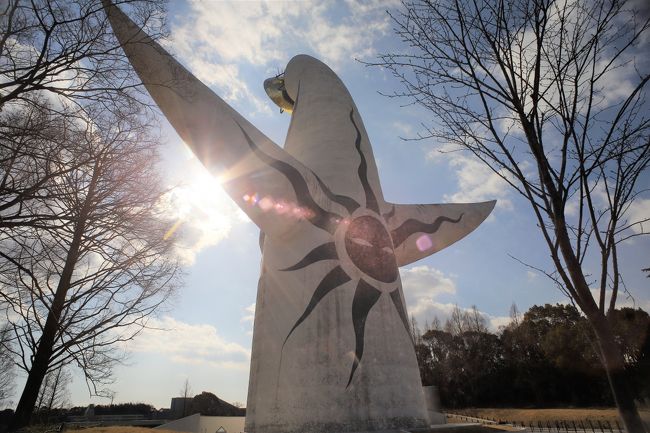 万博記念公園 冬の散策と初めての 太陽の塔 へ 吹田 万博公園 大阪 の旅行記 ブログ By さんぽさん フォートラベル