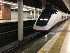 約20年ぶりに訪れる那須です。

そしてこの旅で初めて、上野駅から新幹線に乗車しました。
東北新幹線に乗る機会がこれまでほとんどなく、関西方面や長野方面に行くにはいつも東京駅スタートなので。