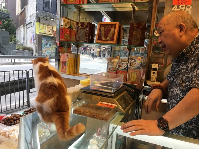 千ちゃんはなかなか慣れてくれない