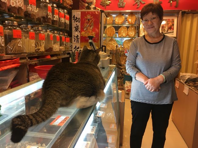 青蛙さんと豆ちゃんちに行くと、すごい歓迎を受けますｗ<br />珈琲飲む？と言われて、は、はい、と言ったらイス出してくれて、おまけにでかいパンも・・ｗ<br />私は「おなかいっぱいだから」とご遠慮しましたが、青蛙さんは断り切れずコーヒーでがんばって流し込んでましたｗｗｗ<br />