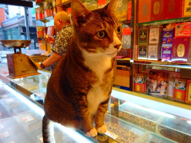 豆ちゃん、かわいく撮れた＾＾