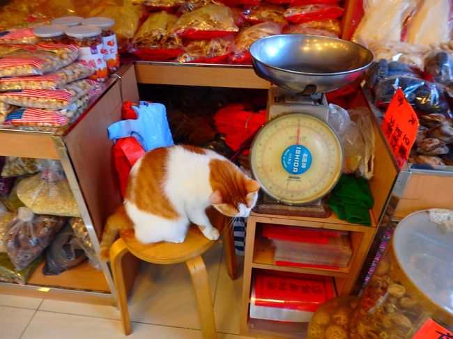 すぐにげちゃう