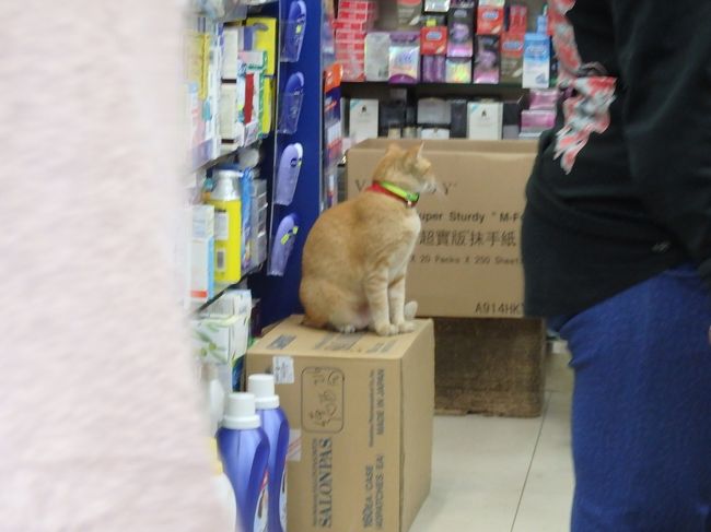 吉吉店長！<br />いつも店にいないよねえ、、といいながら来たらいた！