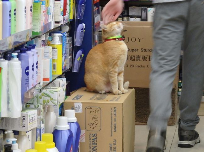 おにいさんのかわいがり＾＾