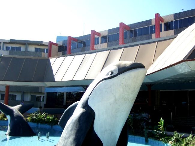 さあ、これから8時間。空港で待つのはキツイなぁ、と思ってたら。こここそ添乗員Ｋさんの腕の見せ所でしたよ。 まずは航空会社の職員と交渉して、昼食と夕食と休憩用のホテルをゲット。さらに現地旅行会社に連絡を入れてくれたらしく、 希望者はブラジリア観光に連れてってくれるって！<br />まじ～！？ある意味、ラッキー♪特にブラジリアに興味がある訳じゃない私でも嬉しかったけど、そうです。 朝話していたＯさんは狂喜乱舞してました（笑）。だってもともと1時間しか乗継時間がなくて、ただ空港内を通過する だけだったはずが、観光できちゃうなんて。持ってる人は持ってるなぁ、旅行運。 私もあやかりたいものです。<br />航空会社が用意してくれたタクシーで向かったのは「BAY PARK HOTEL」というパラノア湖畔にあるホテル。 空港からタクシーで20～30分って所かな？  一見、湖畔のリゾートホテル風だけど、結構しょぼいです（笑）。まあ贅沢は言えないわね。