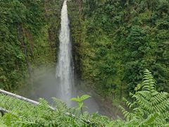 ハワイ島最大のアカカの滝は見応えあります。雨量が多いからか緑豊かにシダ類も美しい
