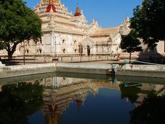 アーナンダ寺院。池には小型のスッポンが泳いでいました。
