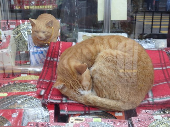 時間がなくて焦ってますｗ<br />買い物のときはカメラ出す余裕がなくて・・<br />次の写真は油麻地