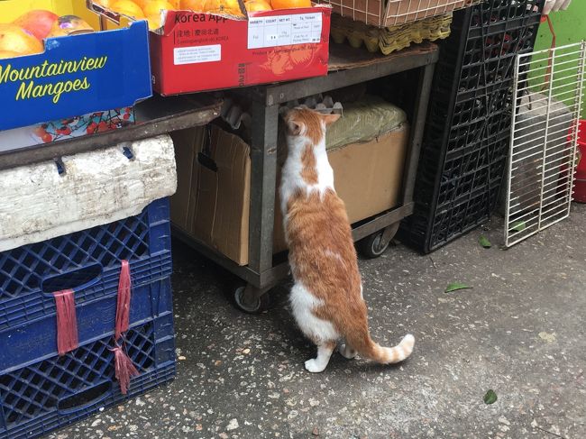 で、これはたぶん、新填地街かな