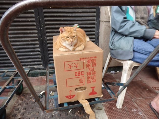 おばさんは大忙しなんだけど、あんたはのんびりしてるねえ