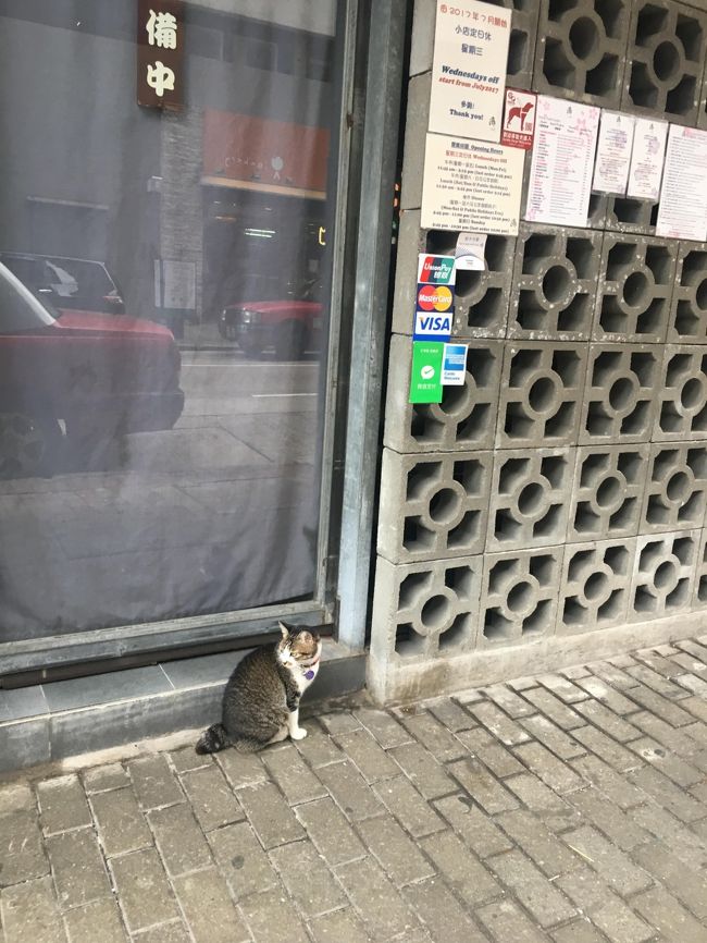 忙しいけど・・<br />昨日会えなかったから、また来ました。<br />うひょーー