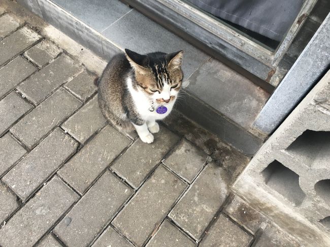 会いたかったよー、亜妹ちゃん♪