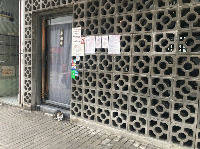 あー、かわいかった！<br />じゃあねえ、また会おうねえ♪<br /><br />と、このあと、ここら辺の家庭用品店で目的のものをゲット！（九龍側ではいいのがなくて、昨日見つけてたここにまた来たわけです）<br />速足で、ひげちゃんちの通り（＝ホテルJENの通り）を歩いてて、ふと見たセブンイレブンの中に、青蛙さんが居ました（香港せまーいｗｗｗ）<br />そこで、<br />昨日から、お土産として、セブンイレブンで売り出してたちびまる子ちゃん関連グッズを探してるけど今日行った九龍側にはなあんもなかった、という話をして<br />「では私は急いでいるので」とお別れしてきましたｗ<br /><br />そのあと、一田で夕飯買って、歩いて戻って、ホテル近くの皇后大道の文房具屋さんでもう１個の目的のものもゲットできましたぁ<br />