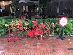 てくてくてくてく。３ナガスの自転車だ。雨降ってたからかなー。カゴに花がないね。