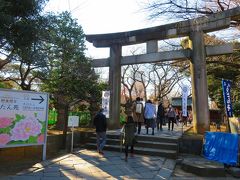 その動物園からほど近い上野東照宮（http://www.uenotoshogu.com/）