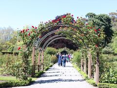 クライストチャーチ植物園。
ここは、バラのアーチ。
けっこう広くて、テーマごとになっていました。