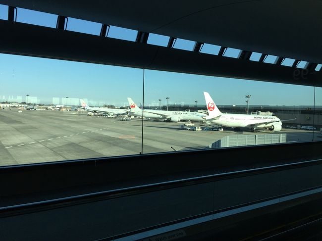 JALの向こう、遠くにCIの飛行機が見えます。