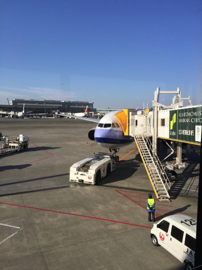 今回搭乗のCI107便です。<br />エアバスA330-300の機体です。