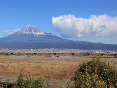 薩埵峠へ向かう途中、新幹線の橋梁で一番（現在は二番目）に長い富士川橋梁に寄り道！

ポツンとみかんの木が植えてあり友人が富士山よりもテンション上がる（笑）