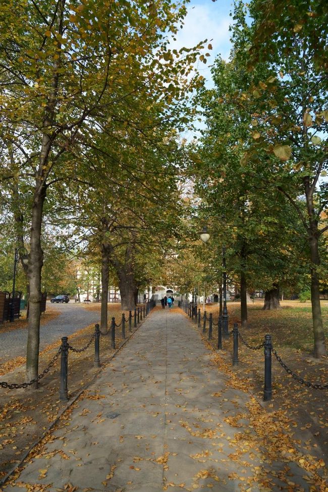 紅葉で黄金に輝く秋のポーランド堪能旅行 【7】ヤヴォルとシフィドニツァの平和教会群
