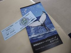 座間味村ホエールウォッチング協会の方々が迎えてくださり、那覇泊港で受け取ったチケットは乗船券と交換。
私が乗るのは、「エスコート」という高速船。