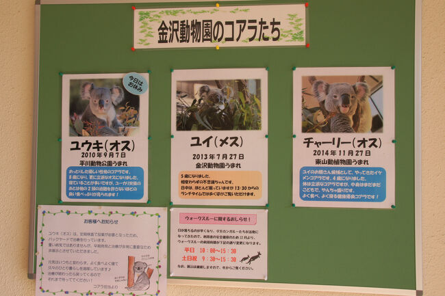 おさんぽ動物園ログ 金沢動物園 19年1月 八景島 神奈川県 の旅行記 ブログ By しろんさん フォートラベル おさんぽ動物園ログ 金沢動物園 19年1月 八景島 神奈川県 の旅行記 ブログ By しろんさん フォートラベル