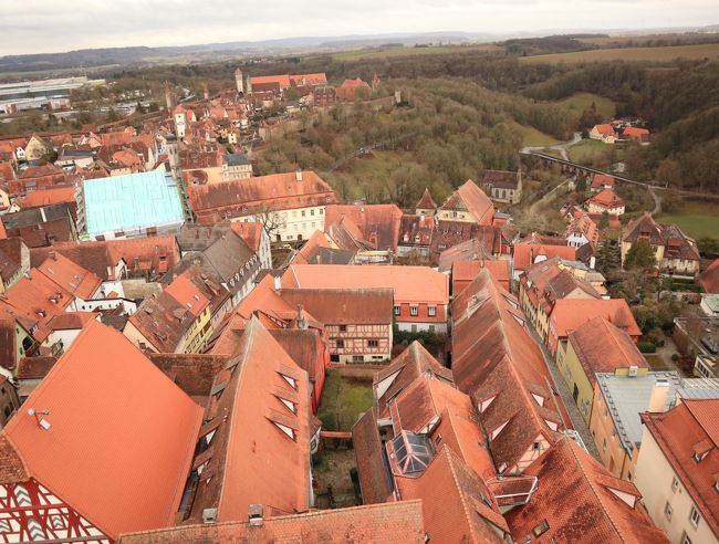 ぜーんぶオレンジ。<br />奥には森が広がってます。