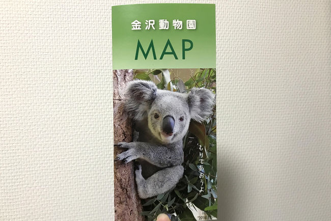 おさんぽ動物園ログ 金沢動物園 19年1月 八景島 神奈川県 の旅行記 ブログ By しろんさん フォートラベル おさんぽ動物園ログ 金沢動物園 19年1月 八景島 神奈川県 の旅行記 ブログ By しろんさん フォートラベル