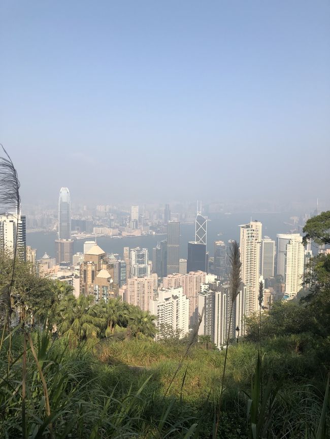 ビクトリアピークから香港の街並み<br />実は夜にビクトリアピークに行く予定でしたが、激込みすると聞いていたので日中に行きましたが、日中も激込みです。 <br />日中は気温25度もあり暑かったです。