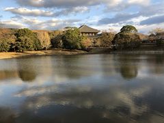 東大寺にやってきました
大仏池
ここは明日の奈良マラソン10キロコースにおいて7キロの関門が設置されます。