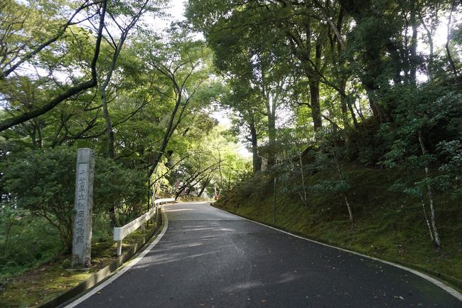 大多喜市街から大原はだか祭へ～18基の神輿を次々と荒海へ担ぎ