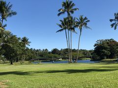 この公園は池もある大きな公園です。