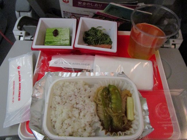 出国後はJAL指定の大韓航空のラウンジへ<br />ここもかなり混んでいた<br /><br />指定された時間よりも早めの19時にゲートへ行ったら既に搭乗開始していた。<br />機内は満席。<br /><br />預けた荷物はすぐに出て来たのに他の人に取られてビックリ。ちゃんと確認しておかないとダメですね。<br /><br />最寄駅までバスに乗ってそこからタクシーで帰宅。最近はこのルートが一番だと気づいた