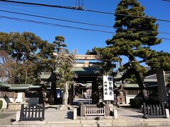 1月3日　快晴

もうそろそろ箱根駅伝の復路が来るはずだ。