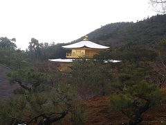 雪化粧初めて見ました