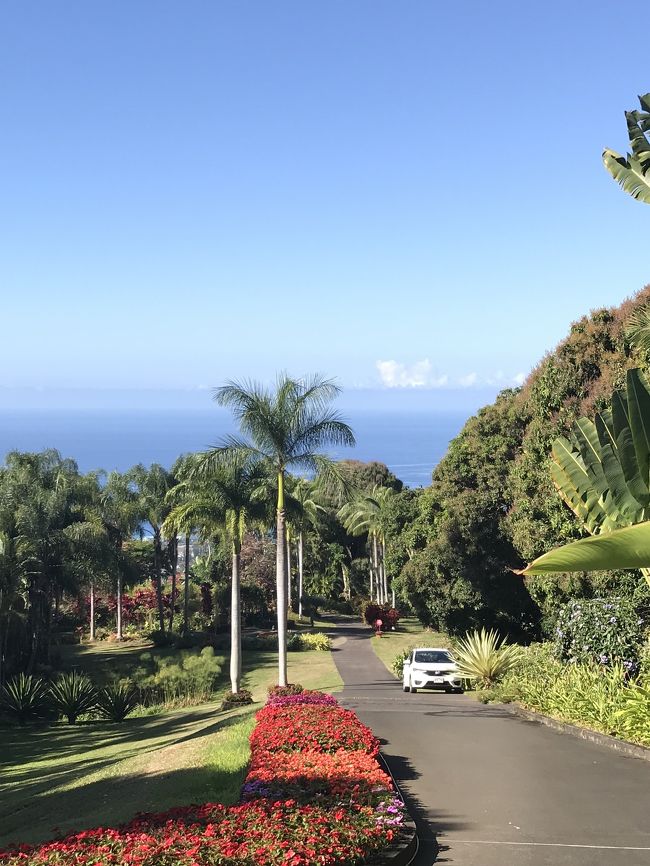 素晴らしい眺め。<br />山の上から、下りていきます。<br />途中に様々な植物をRoberts Hawaiiの方が説明してくれました。<br />参加者は、私と家内のみ。<br />25乗りのバスも貸し切りでした。