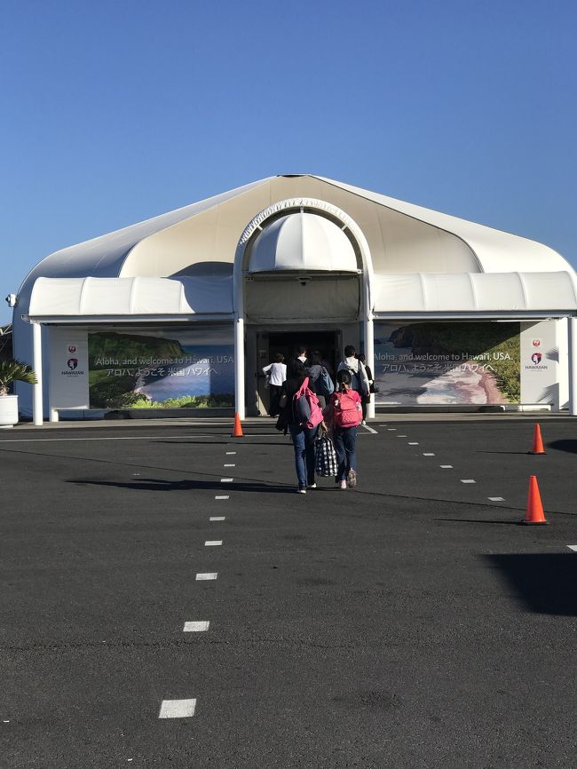 入国審査と荷物のチェック、自分でスーツケースをベルトコンベアに乗せます。<br />重いので、結構大変。