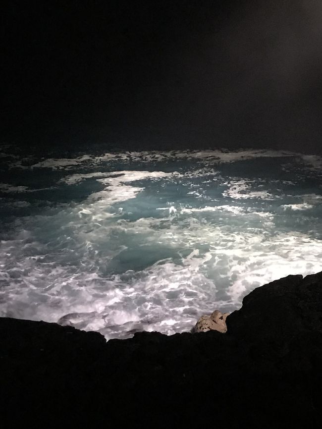 波が高くて、マンタさんは現れず 残念