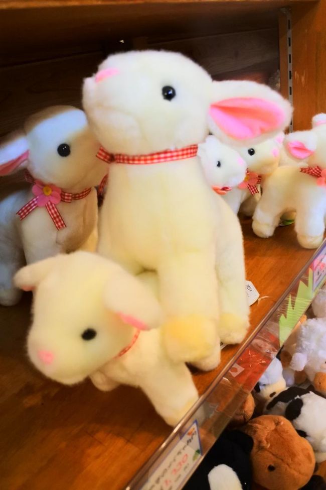 マザー牧場 イルミ 富津 千葉県 の旅行記 ブログ By うまるちゃんさん フォートラベル マザー牧場 イルミ 富津 千葉県 の旅行記 ブログ By うまるちゃんさん フォートラベル