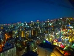 文京シビックホールは東京都の夜景がきれいな隠れスポット。高さがない分、現実感のある夜景が眼下に見える