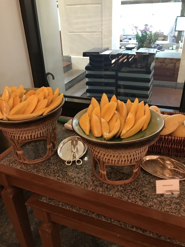 マンゴー取り放題。乾季なので心配したけど、甘くてみずみずしく杞憂に終わる。