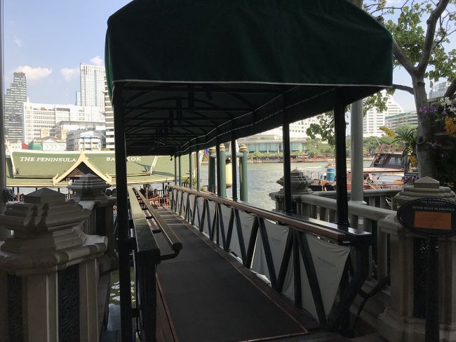 チェックアウトしていつもの送迎船で帰路につきます。