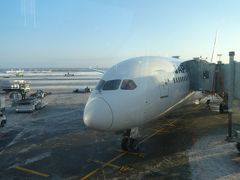 モスクワは雪でした。
JALの787は雪のドモジェドボ空港に無事到着しました。
入国審査も待ち時間も無くスムースに通過できました。