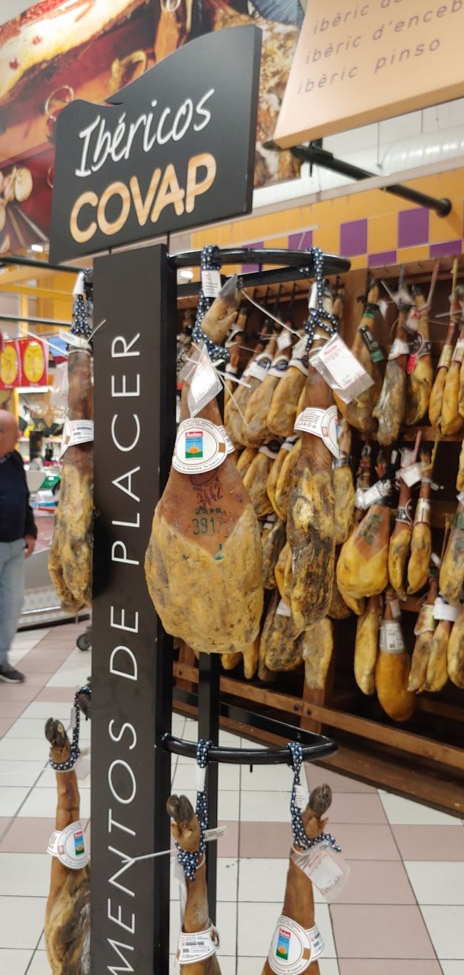 こちらはイベリコちゃんですー。<br /><br />どんぐり食べたベジョータ様でしょうか？