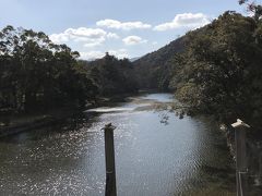 天気良くなって川がキラキラに。
五十鈴川。