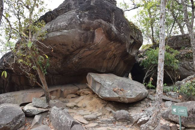 いよいよ「Human Cave」です。この中に、先史時代の壁画が描かれています。ワクワクします。