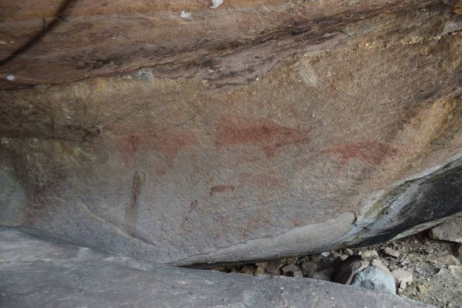 直ぐ隣は、牙らしきものがあるので、猪系の動物の絵でしょうか。類似したもっと大きな絵は、メコン川沿いのパーテム国立公園の崖にも描かれています。そこも、湿度100%の焦熱地獄でした。