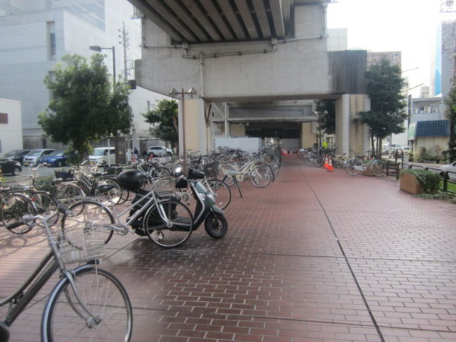 2018・平成最後の年末旅（パート３：静岡・神奈川・東京・千葉編 