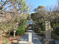 常立寺

江ノ島駅からほど近いこちらは、紅白の枝垂れ梅で知られます。